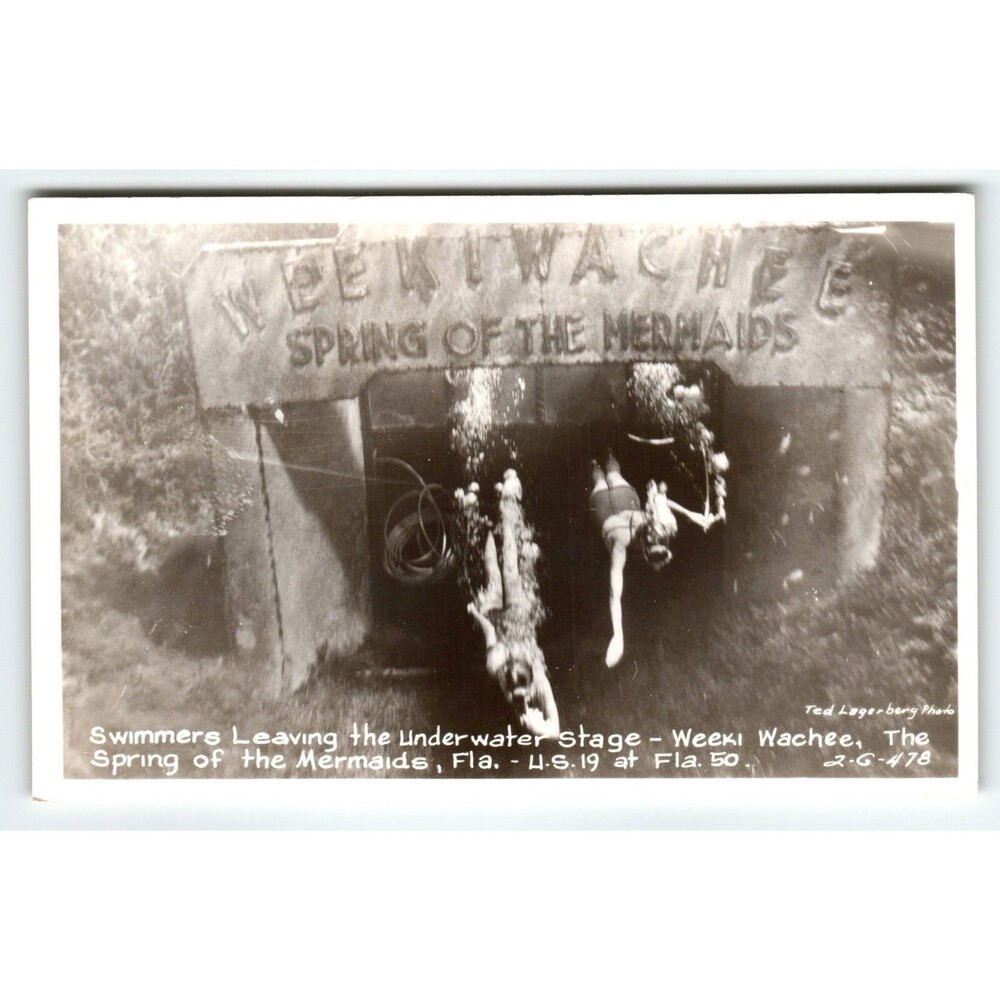 Weeki Wachee Mermaids Real Photo Postcard Underwater Stage Show RPPC Florida